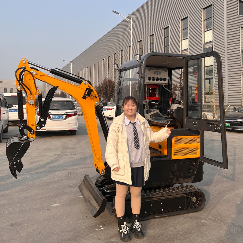 Small Excavator Manufacturer Earth Moving Machinery